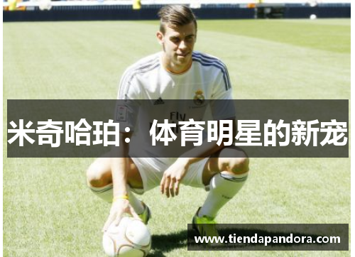 米奇哈珀：体育明星的新宠